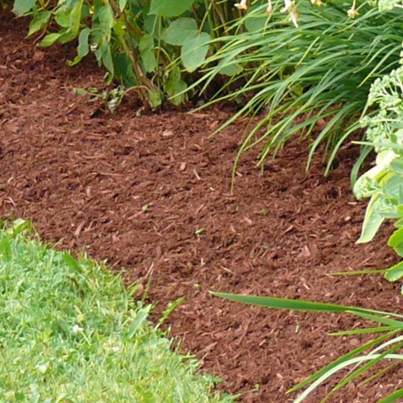 Red bark mulch in a garden bed